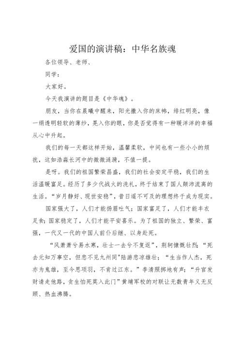 爱国的演讲稿：中华名族魂.docx