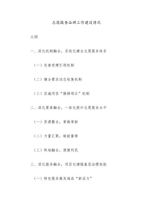 志愿服务品牌工作建设情况.docx