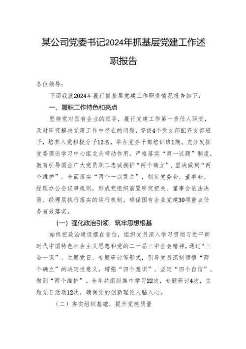 某公司党委书记2024年抓基层党建工作述职报告.docx