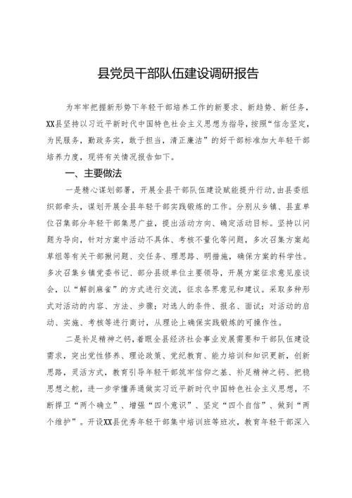 县党员干部队伍建设调研报告.docx