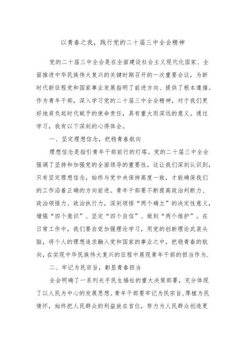 以青春之我践行党的二十届三中全会精神.docx
