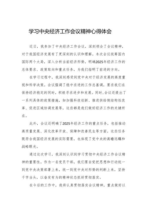 八篇学习2024年中央经济工作会议精神心得感悟发言材料.docx