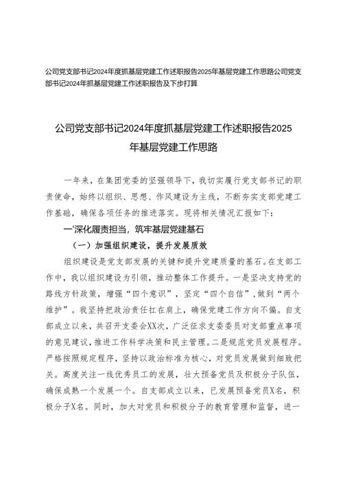 公司党支部书记2024年度抓基层党建工作述职报告2025年基层党建工作思路.docx
