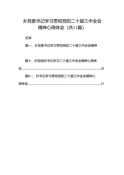 （11篇）乡党委书记学习贯彻党的二十届三中全会精神心得体会范文.docx