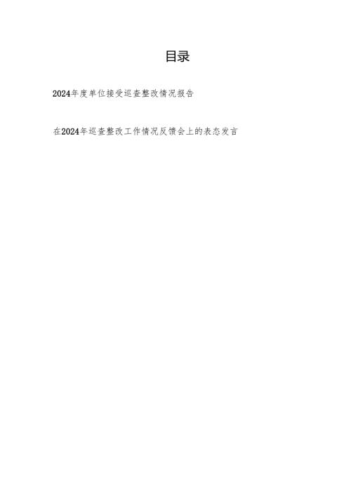 2025年单位接受巡查整改情况报告和书记反馈会表态发言.docx