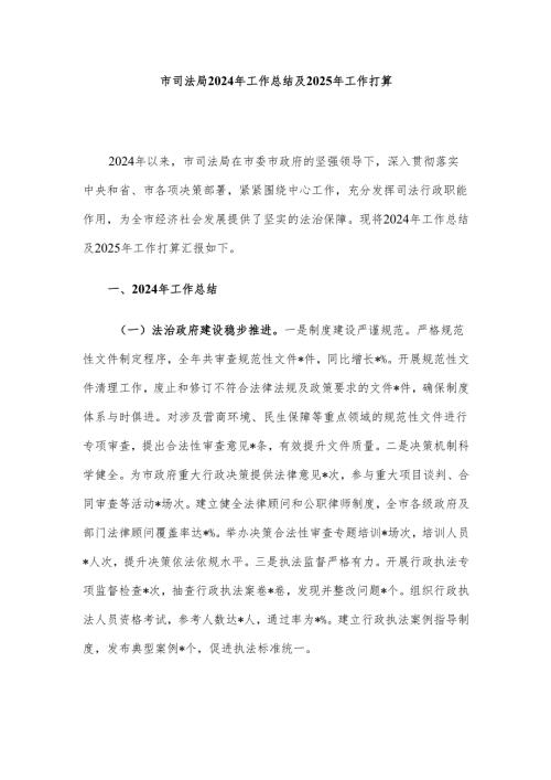 市司法局2024年工作总结及2025年工作打算.docx
