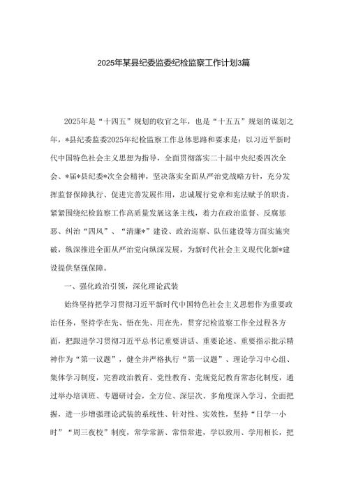 2025年某县纪委监委纪检监察工作计划3篇.docx