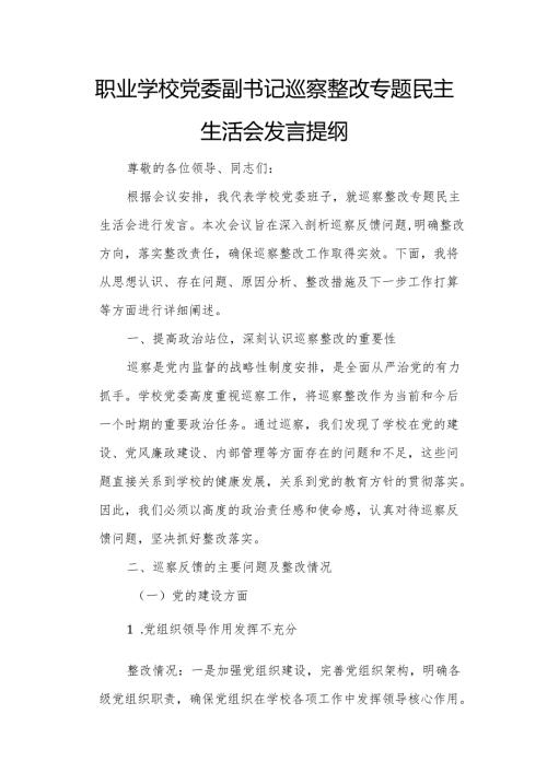 职业学校党委副书记巡察整改专题民主生活会发言提纲.docx