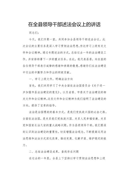 在全县领导干部述法会议上的讲话.docx