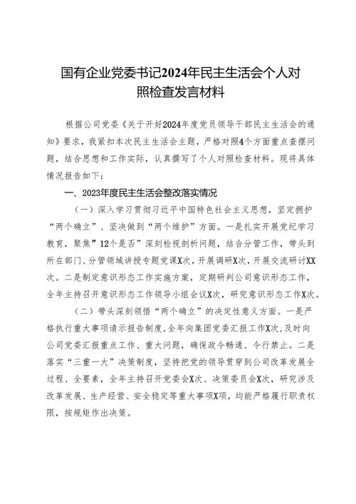 国有企业党委书记2024年民主生活会个人对照检查发言材料.docx