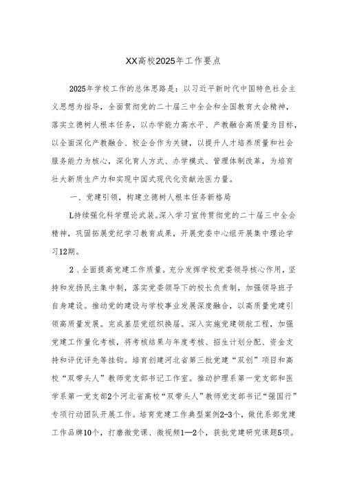 XX高校2025年工作要点.docx