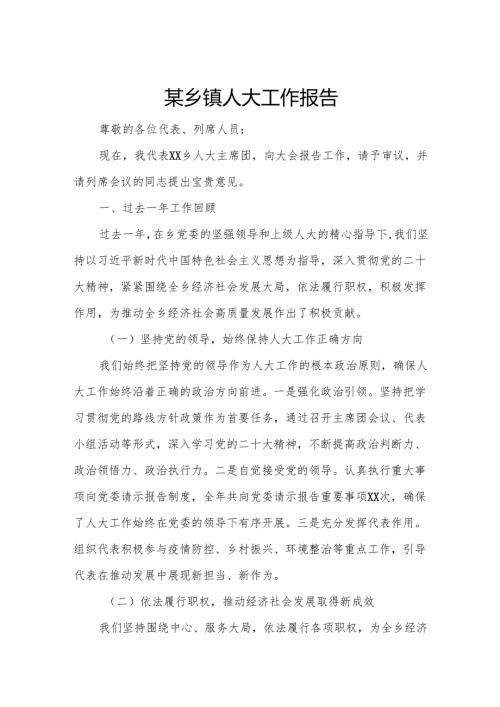 某乡镇人大工作报告.docx