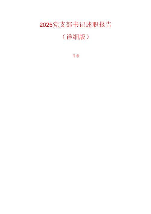 2025 党支部书记述职报告（详细版）.docx