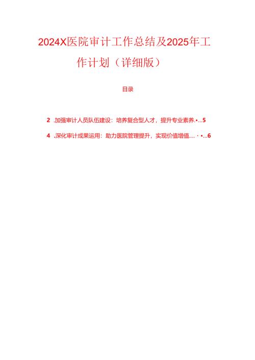 2024 X医院审计工作总结及2025年工作计划（详细版）.docx