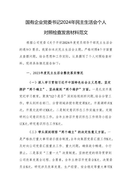 国有企业党委书记2024年民主生活会个人对照检查发言材料范文.docx