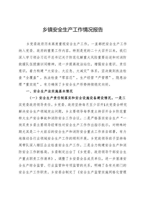 乡镇安全生产工作情况报告.docx