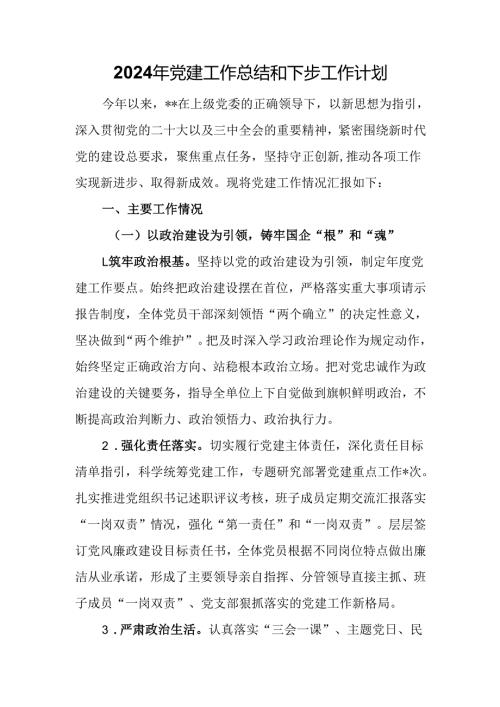 2024年党建工作总结和下步工作计划.docx
