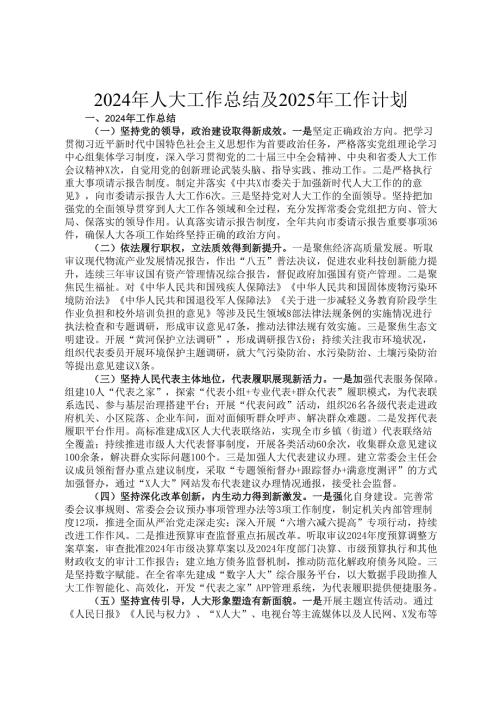 2024年人大工作总结及2025年工作计划.docx