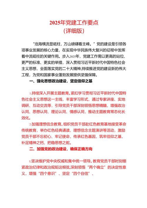 2025 年党建工作要点（详细版）.docx