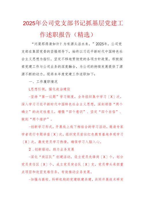 2025年公司党支部书记抓基层党建工作述职报告（精选）.docx