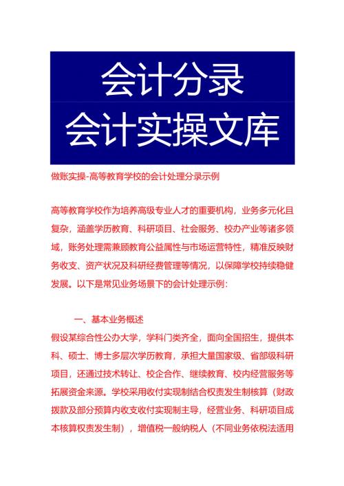做账实操-高等教育学校的会计处理分录示例.docx