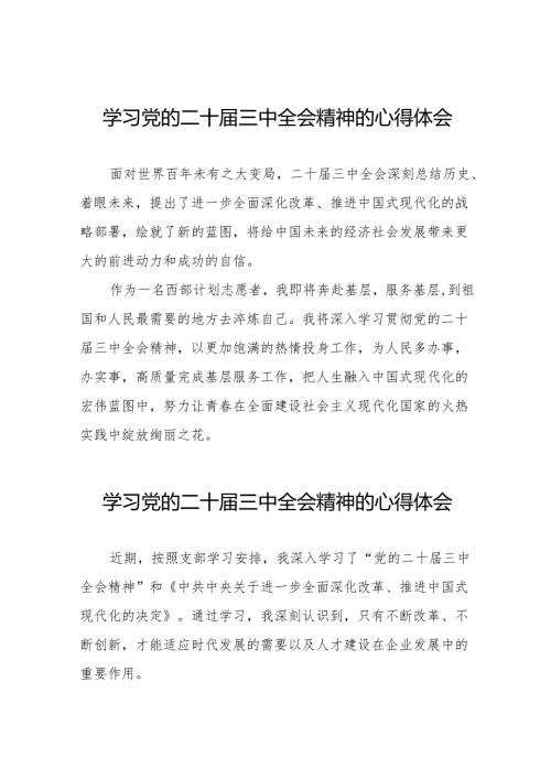 十五篇2024年学习党的二十届三中全会精神的心得体会精选模板.docx