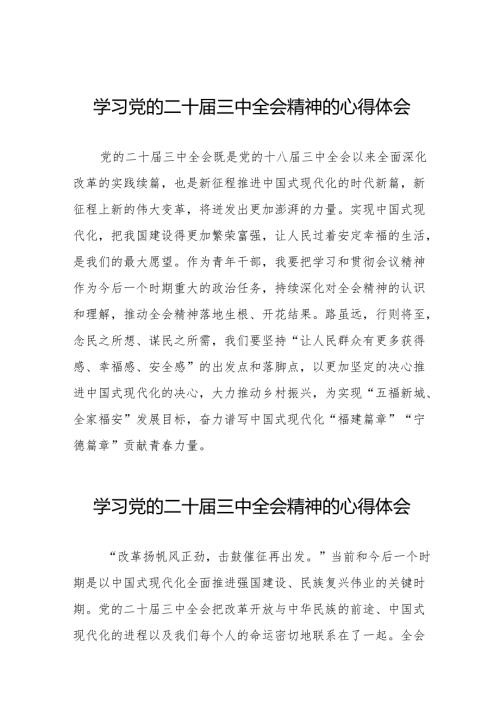 党的二十届三中全会精神学习心得样本36篇.docx
