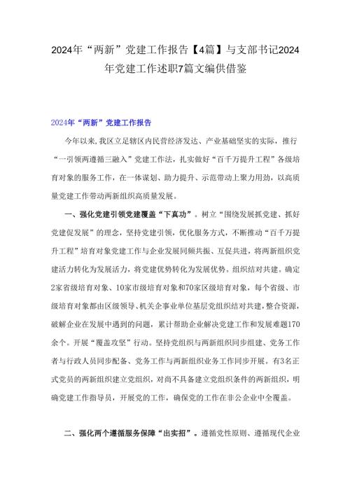 2024年“两新”党建工作报告【4篇】与支部书记2024年党建工作述职7篇文编供借鉴.docx
