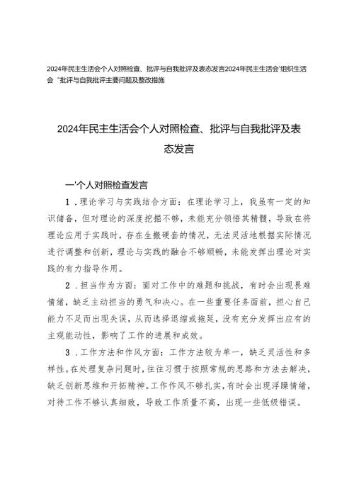 2024年民主生活会个人对照检查、批评与自我批评及表态发言+“批评与自我批评主要问题及整改措施.docx