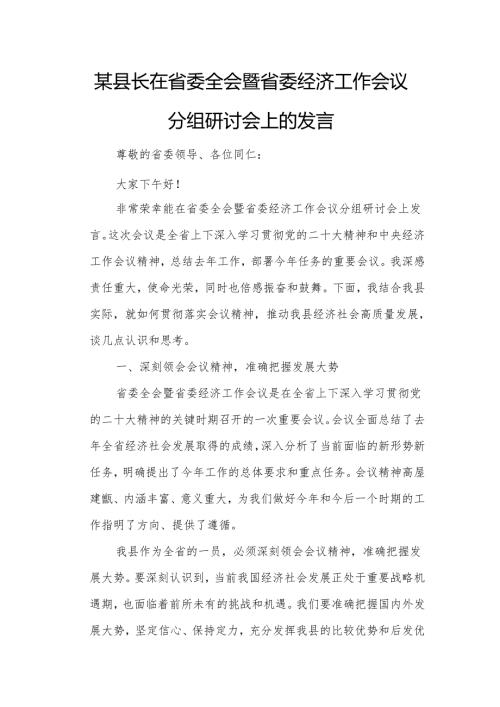 某县长在省委全会暨省委经济工作会议分组研讨会上的发言.docx
