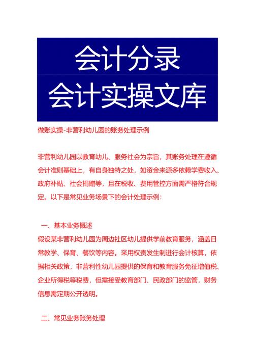做账实操-非营利幼儿园的账务处理示例.docx