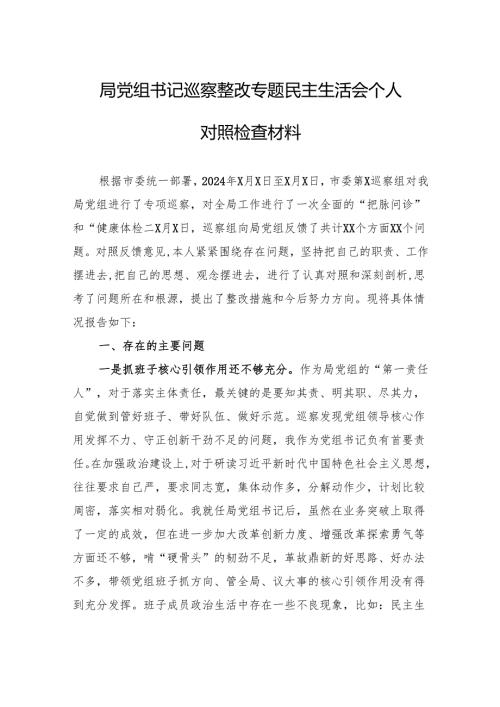 2024巡察整改专题民主生活会个人对照检查材料 10篇.docx