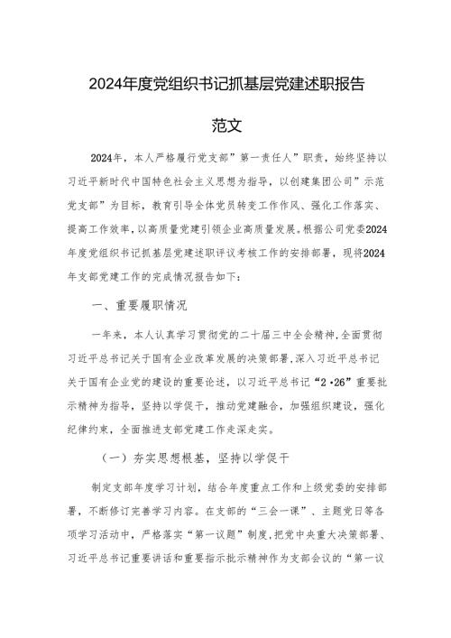 2024年度党组织书记抓基层党建述职报告范文.docx