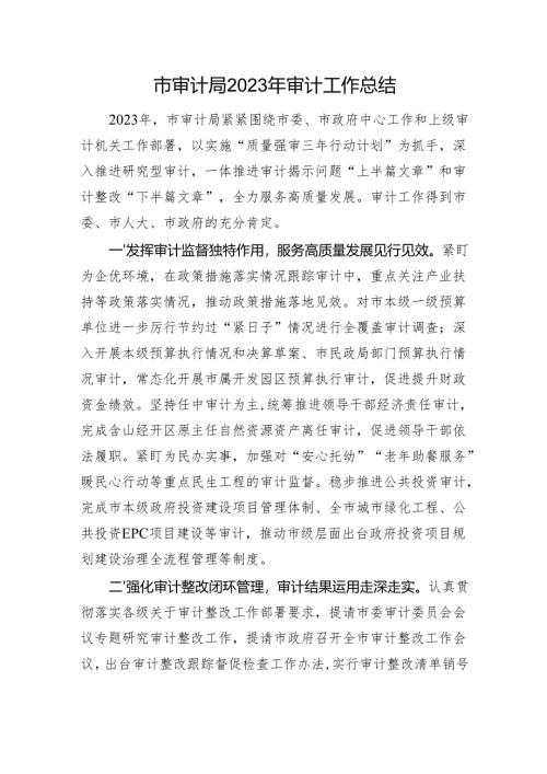 市审计局2023年审计工作总结(20240118).docx
