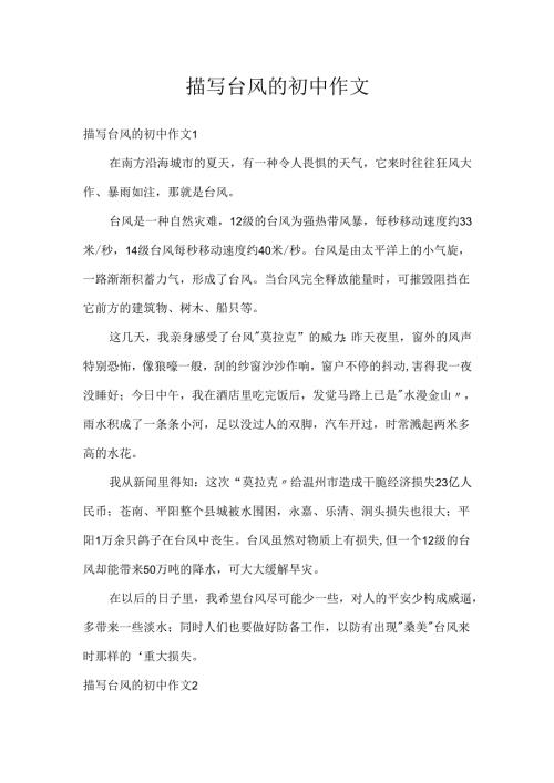 描写台风的初中作文.docx