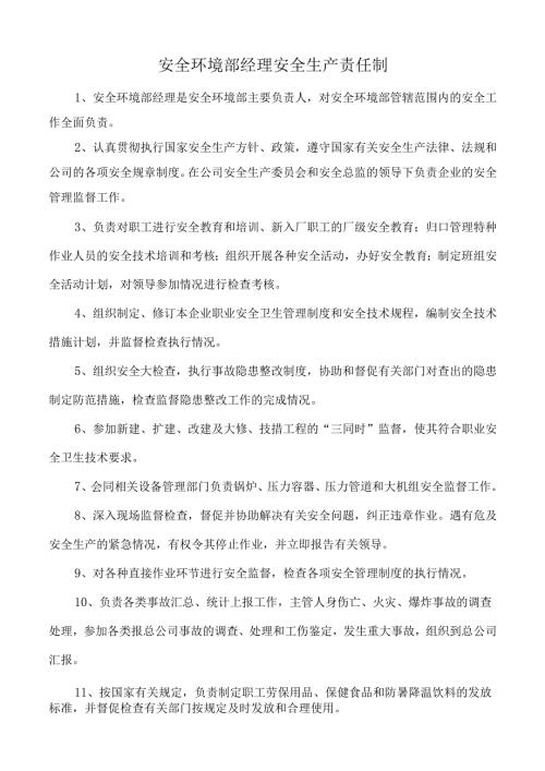 安全环境部经理安全生产责任制.docx