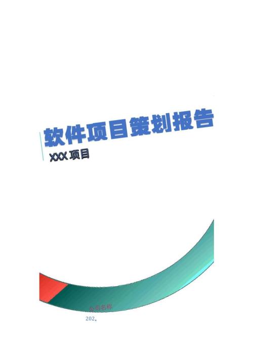 项目策划报告.docx