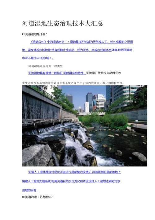 01河道湿地生态治理技术大汇总.docx