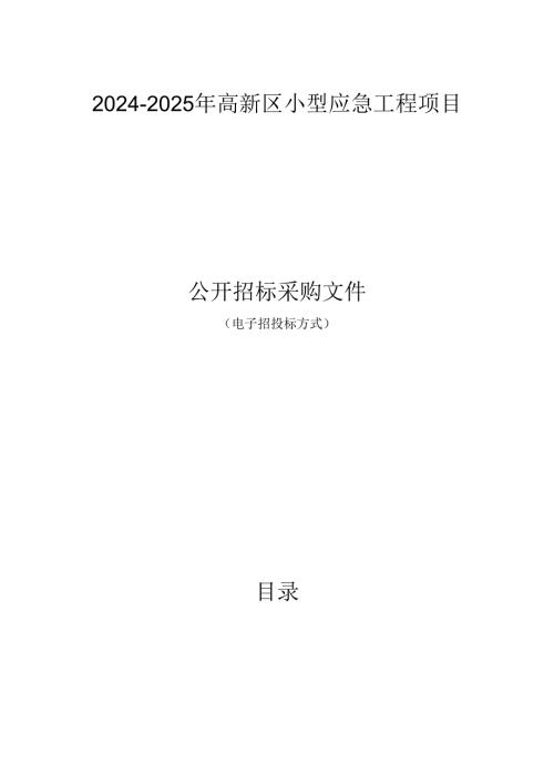 高新区小型应急工程项目招标文件.docx