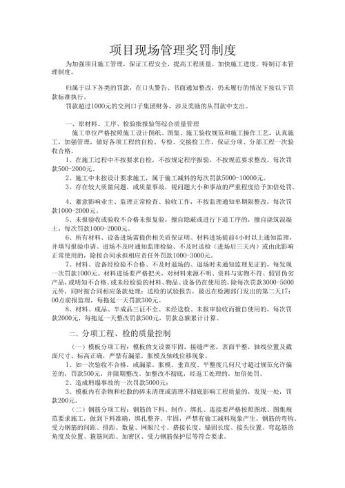 项目奖罚管理制度模板.docx