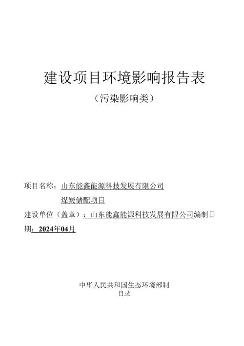 山东能鑫能源科技发展有限公司煤炭储备项目环评报告表.docx