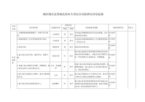 钢丝绳芯皮带硫化热补专项安全风险辨识评估标准.docx