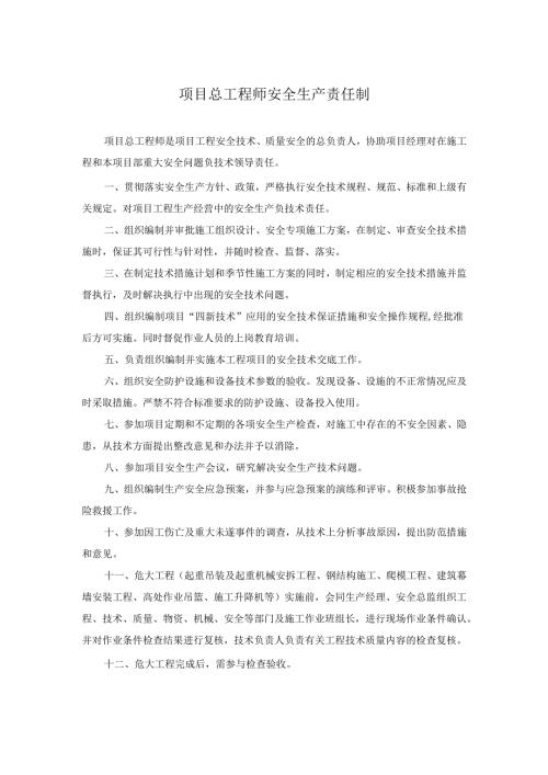 项目总工程师安全生产责任制.docx