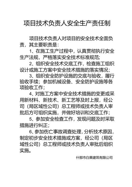 项目技术负责人安全生产责任制.docx