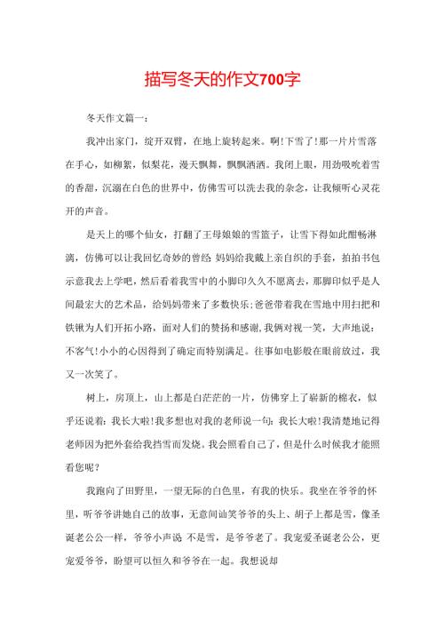 描写冬天的作文700字.docx