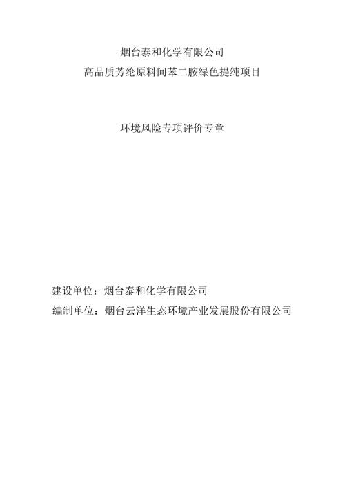 高品质芳纶原料间苯二胺绿色提纯项目环境风险专项评价专章.docx