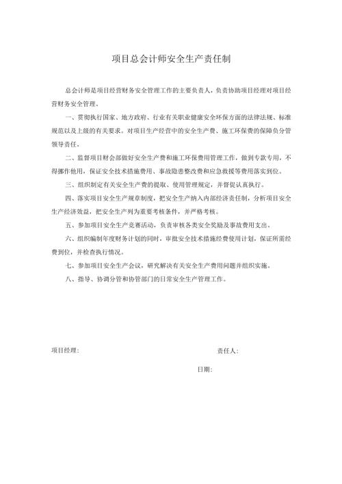 项目总会计师安全生产责任制.docx