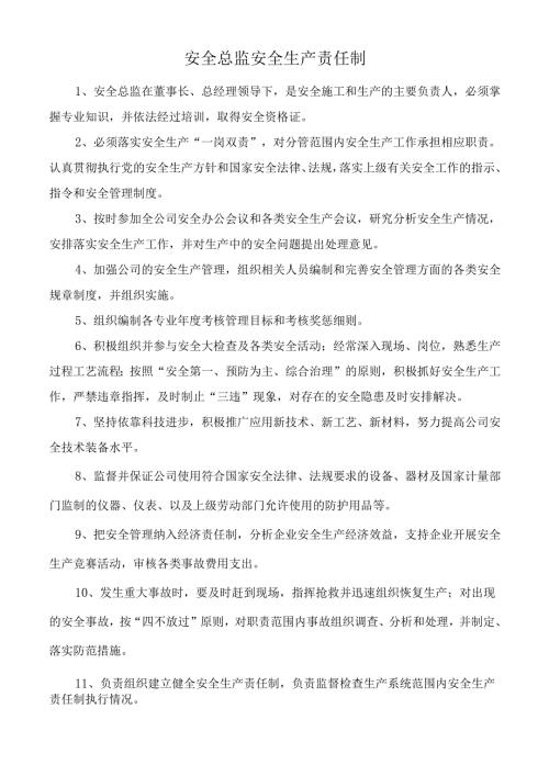 安全总监安全生产责任制.docx