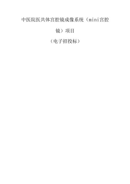 中医院医共体宫腔镜成像系统（mini宫腔镜）项目招标文件.docx