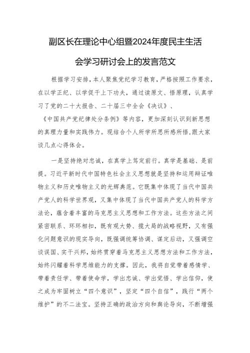副区长在理论中心组暨2024年度民主生活会学习研讨会上的发言范文.docx